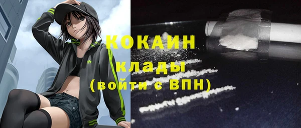 индика Баксан