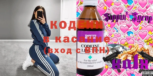 индика Баксан