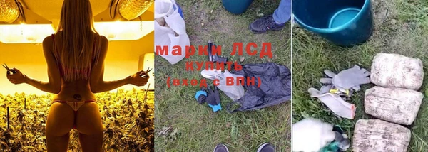 спайс Белокуриха