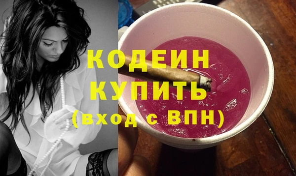 индика Баксан