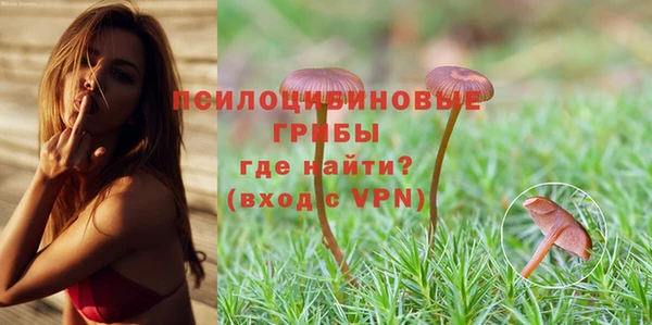 индика Баксан