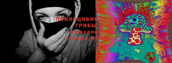 индика Баксан