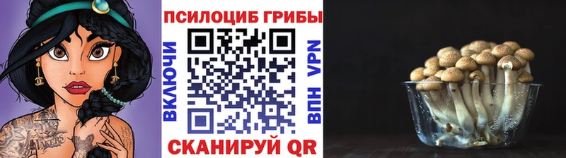 Галлюциногенные грибы мухоморы Ленск